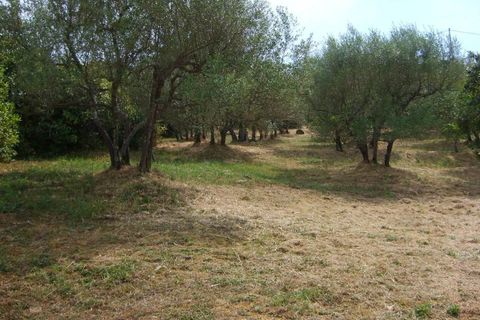 Villa i Lajatico, Pisa, Lajatico - € 625.000 | Ref: a9591kl004 - foto 12