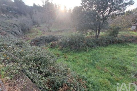 Helårsgrund i Braga, Braga, Braga - € 1.200.000 | Ref: 797163 - foto 7