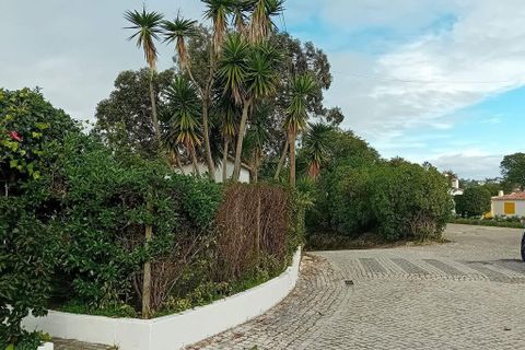 Helårsgrund i Obidos, Leiria, Obidos - € 315.000 | Ref: 765774 - foto 24