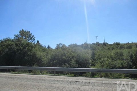 Terra a Soure, Coimbra, Soure - € 45.000 | Ref: 156387 - foto 5