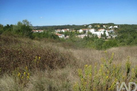 Terra a Soure, Coimbra, Soure - € 45.000 | Ref: 156387 - foto 9