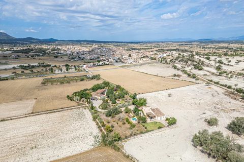 Herregård i Montuiri, Mallorca, Montuiri - € 690 000 | Ref: 05LC059RB/3010 - foto 37