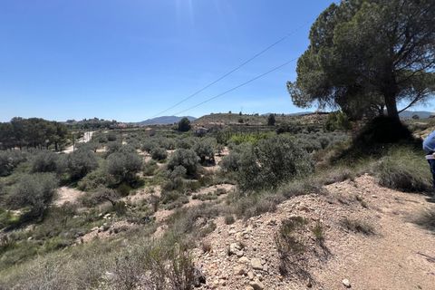 Helårsgrund i Monovar, Alicante, Monovar - € 39.995 | Ref: 68059 - foto 2
