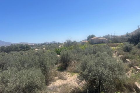 Helårsgrund i Monovar, Alicante, Monovar - € 39.995 | Ref: 68059 - foto 7