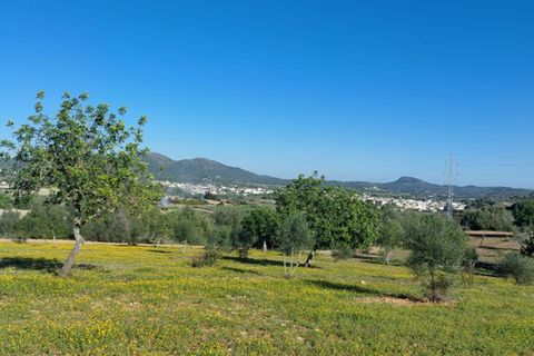 Helårsgrund i San Lorenzo, Gran Canaria, San Lorenzo - € 320.000 | Ref: 326 - Sant Llorenç 315.000 - foto 22