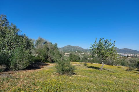 Helårsgrund i San Lorenzo, Gran Canaria, San Lorenzo - € 320.000 | Ref: 326 - Sant Llorenç 315.000 - foto 24