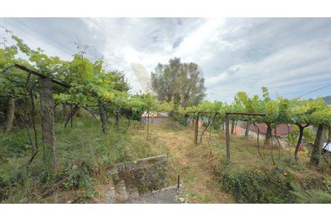 Villa i Ponte de Lima, Viana do Castelo, Ponte de Lima - € 115.000 | Ref: V402 - foto 23