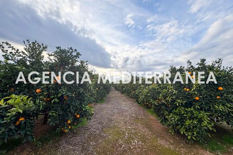 Villa i Manises, Valencia, Manises - € 415.000 | Ref: C3238/5940 - foto 32