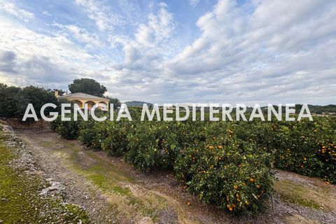 Villa i Manises, Valencia, Manises - € 415.000 | Ref: C3238/5940 - foto 33