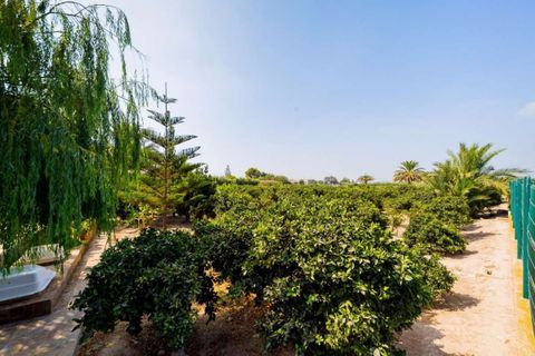 Villa i Almoradi, Alicante, Almoradi - € 1.300.000 | Ref: 72-285-11-643 - foto 18