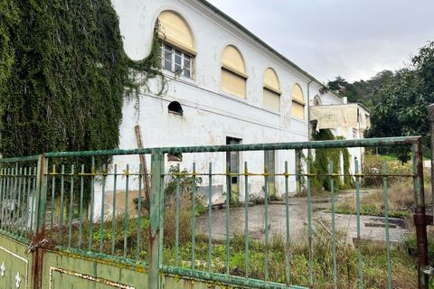 Cortijo i Alenquer, Lisbon, Alenquer - € 2.000.000 | Ref: SS_0069 - foto 4