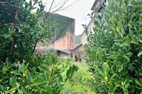 Cortijo i Alenquer, Lisbon, Alenquer - € 2.000.000 | Ref: SS_0069 - foto 16