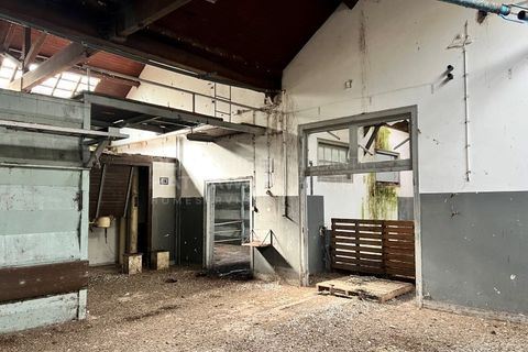 Cortijo i Alenquer, Lisbon, Alenquer - € 2.000.000 | Ref: SS_0069 - foto 45