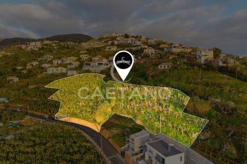 Helårsgrund i Ribeira Brava, Madeira, Ribeira Brava - € 1.250.000 | Ref: 3261 - foto 3