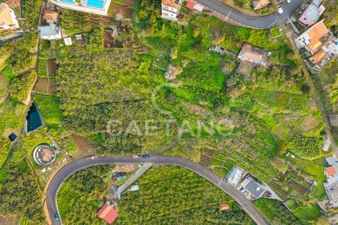 Helårsgrund i Ribeira Brava, Madeira, Ribeira Brava - € 1.250.000 | Ref: 3261 - foto 4