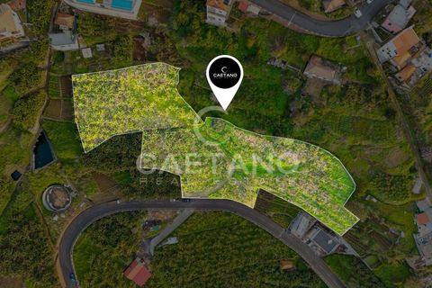 Helårsgrund i Ribeira Brava, Madeira, Ribeira Brava - € 1.250.000 | Ref: 3261 - foto 5