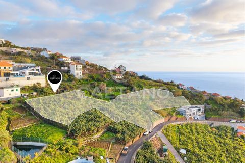 Helårsgrund i Ribeira Brava, Madeira, Ribeira Brava - € 1.250.000 | Ref: 3261 - foto 7