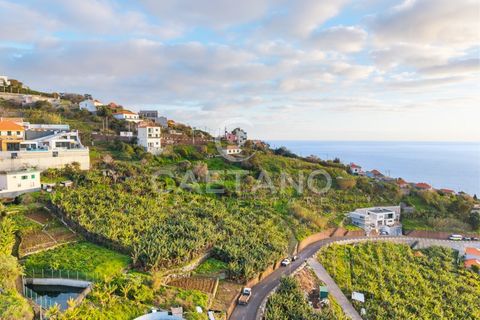 Helårsgrund i Ribeira Brava, Madeira, Ribeira Brava - € 1.250.000 | Ref: 3261 - foto 8