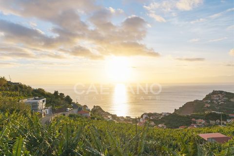 Helårsgrund i Ribeira Brava, Madeira, Ribeira Brava - € 1.250.000 | Ref: 3261 - foto 15