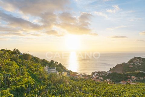 Helårsgrund i Ribeira Brava, Madeira, Ribeira Brava - € 1.250.000 | Ref: 3261 - foto 16