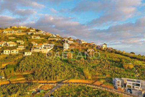 Helårsgrund i Ribeira Brava, Madeira, Ribeira Brava - € 1.250.000 | Ref: 3261 - foto 17