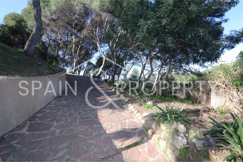 Villa a Turis, Valencia, Turis - € 290.000 | Ref: 091443 - foto 2