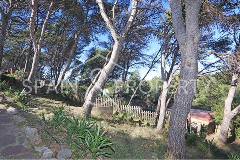 Villa a Turis, Valencia, Turis - € 290.000 | Ref: 091443 - foto 3