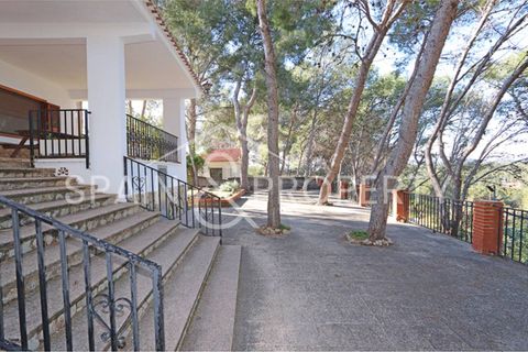 Villa a Turis, Valencia, Turis - € 290.000 | Ref: 091443 - foto 4