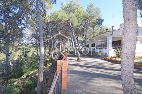 Villa a Turis, Valencia, Turis - € 290.000 | Ref: 091443 - foto 5