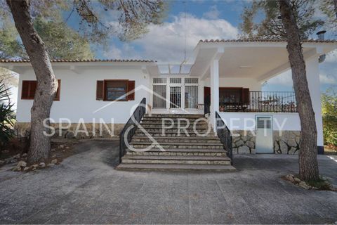 Villa a Turis, Valencia, Turis - € 290.000 | Ref: 091443 - foto 7