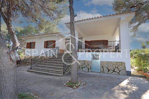 Villa a Turis, Valencia, Turis - € 290.000 | Ref: 091443 - foto 8