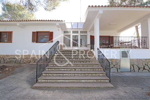 Villa a Turis, Valencia, Turis - € 290.000 | Ref: 091443 - foto 9