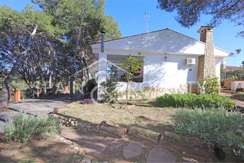 Villa a Turis, Valencia, Turis - € 290.000 | Ref: 091443 - foto 14