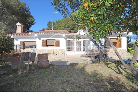 Villa a Turis, Valencia, Turis - € 290.000 | Ref: 091443 - foto 20