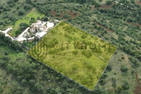 Terra a Tunes, Faro, Tunes - € 350.000 | Ref: City-26-03V - foto 3