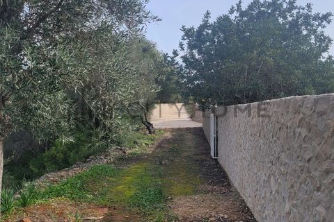 Terra a Tunes, Faro, Tunes - € 350.000 | Ref: City-26-03V - foto 18