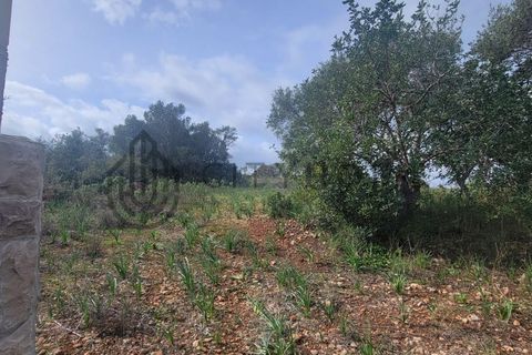Terra a Tunes, Faro, Tunes - € 350.000 | Ref: City-26-03V - foto 4