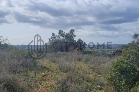 Terra a Tunes, Faro, Tunes - € 350.000 | Ref: City-26-03V - foto 5