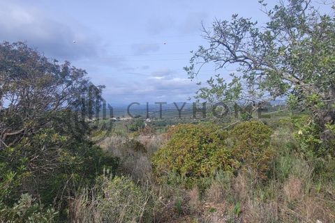 Terra a Tunes, Faro, Tunes - € 350.000 | Ref: City-26-03V - foto 7