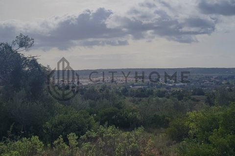 Terra a Tunes, Faro, Tunes - € 350.000 | Ref: City-26-03V - foto 8