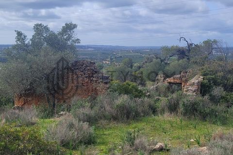 Terra a Tunes, Faro, Tunes - € 350.000 | Ref: City-26-03V - foto 2