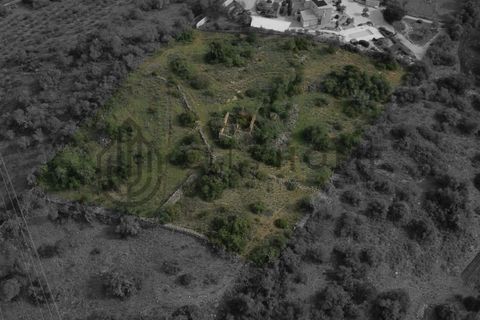 Terra a Tunes, Faro, Tunes - € 350.000 | Ref: City-26-03V - foto 11