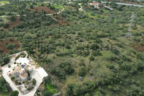 Terra a Tunes, Faro, Tunes - € 350.000 | Ref: City-26-03V - foto 12