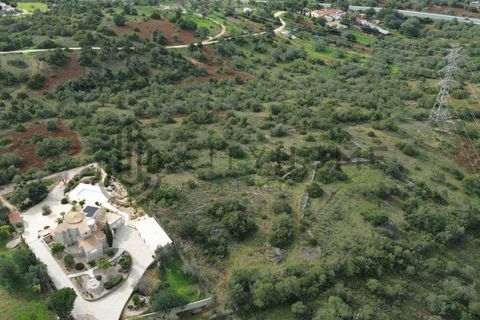 Terra a Tunes, Faro, Tunes - € 350.000 | Ref: City-26-03V - foto 13