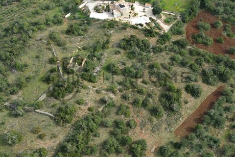 Terra a Tunes, Faro, Tunes - € 350.000 | Ref: City-26-03V - foto 14