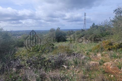 Terra a Tunes, Faro, Tunes - € 350.000 | Ref: City-26-03V - foto 17