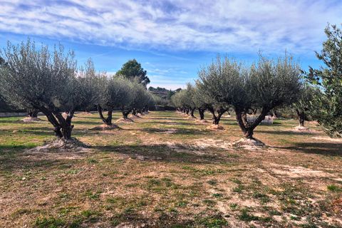 Landejendom i Albaida, Valencia, Albaida - € 210.000 | Ref: LOSDH3536 - foto 10