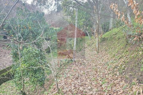 Byhus i Vila Verde, Braga, Vila Verde - € 340.000 | Ref: 08779 - foto 14