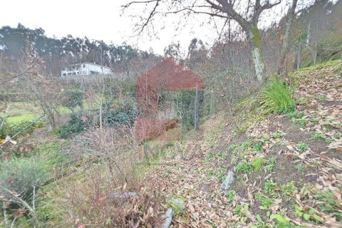 Byhus i Vila Verde, Braga, Vila Verde - € 340.000 | Ref: 08779 - foto 17