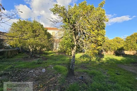 Farm i Aranhas, Castelo Branco, Aranhas - € 298.000 | Ref: MAS_226RS210126 - foto 21